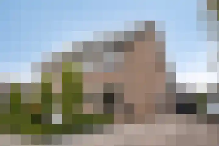 Dokter van Wieringenstraat 25 Waardenburg foto 2