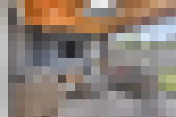 Dokter van Wieringenstraat 25 Waardenburg thumbnail 21