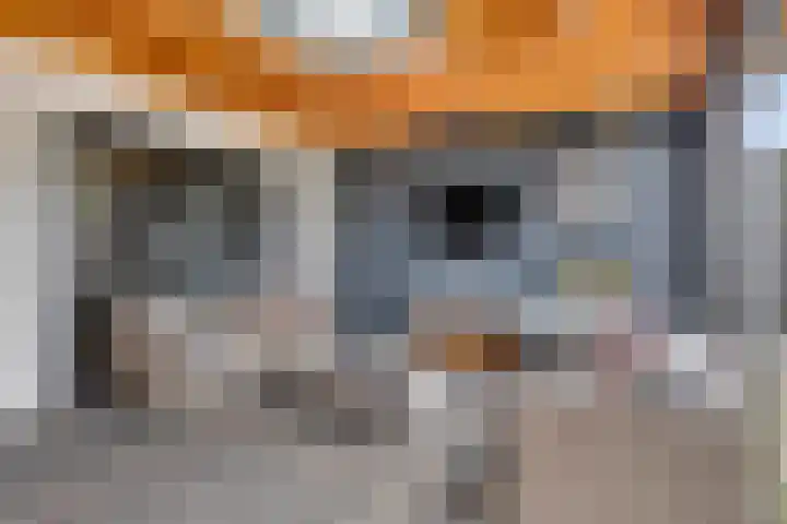 Dokter van Wieringenstraat 25 Waardenburg thumbnail 22