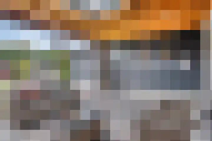 Dokter van Wieringenstraat 25 Waardenburg thumbnail 23
