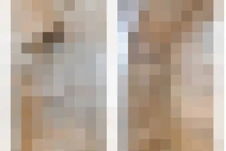 Dokter van Wieringenstraat 25 Waardenburg thumbnail 30