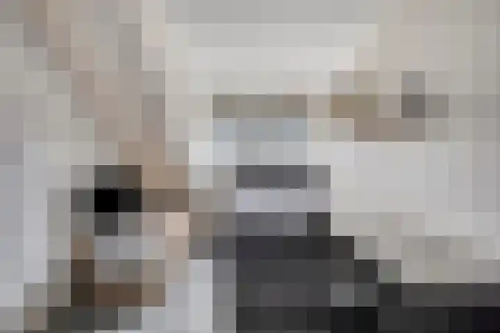 Dokter van Wieringenstraat 25 Waardenburg thumbnail 31