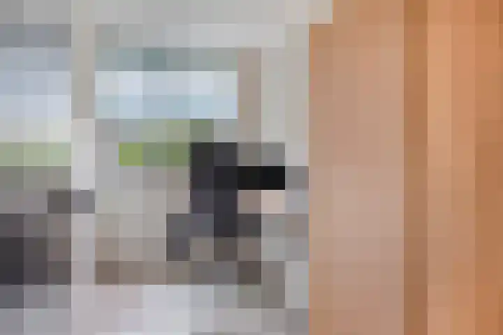 Dokter van Wieringenstraat 25 Waardenburg thumbnail 33