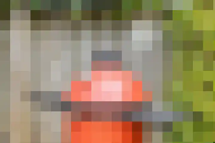 Dokter van Wieringenstraat 25 Waardenburg thumbnail 40