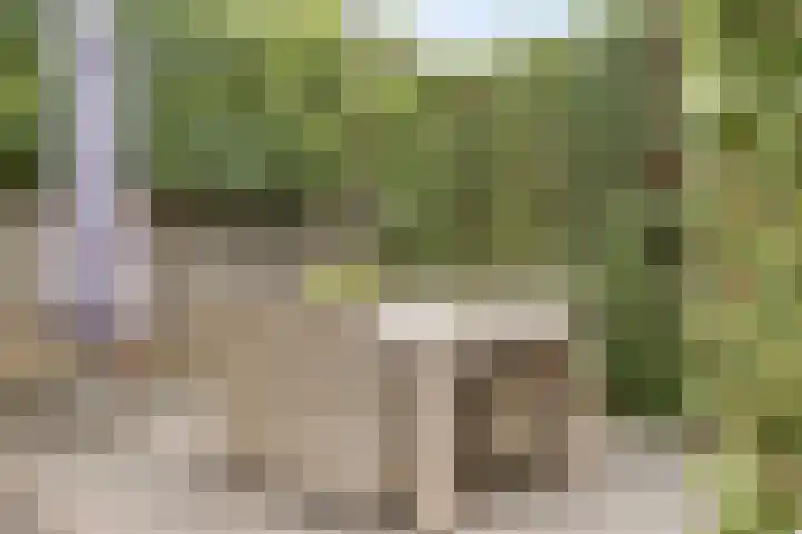 Dokter van Wieringenstraat 25 Waardenburg thumbnail 41