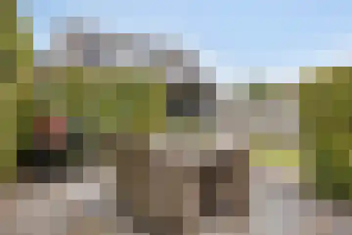 Dokter van Wieringenstraat 25 Waardenburg thumbnail 42