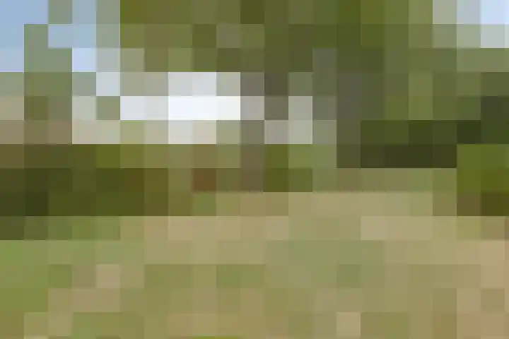Dokter van Wieringenstraat 25 Waardenburg thumbnail 43