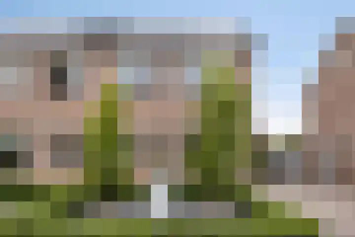 Dokter van Wieringenstraat 25 Waardenburg thumbnail 47