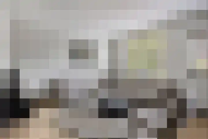 Dokter van Wieringenstraat 25 Waardenburg thumbnail 7