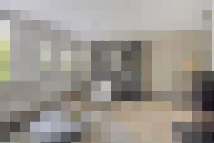 Dokter van Wieringenstraat 25 Waardenburg thumbnail 8