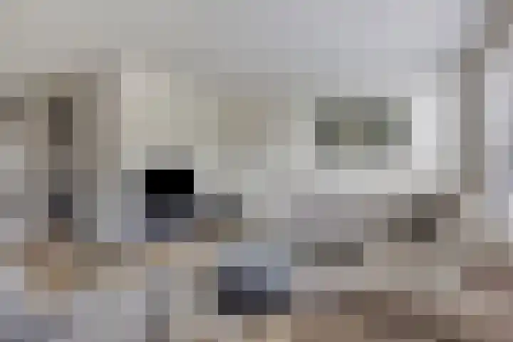 Dokter van Wieringenstraat 25 Waardenburg thumbnail 9