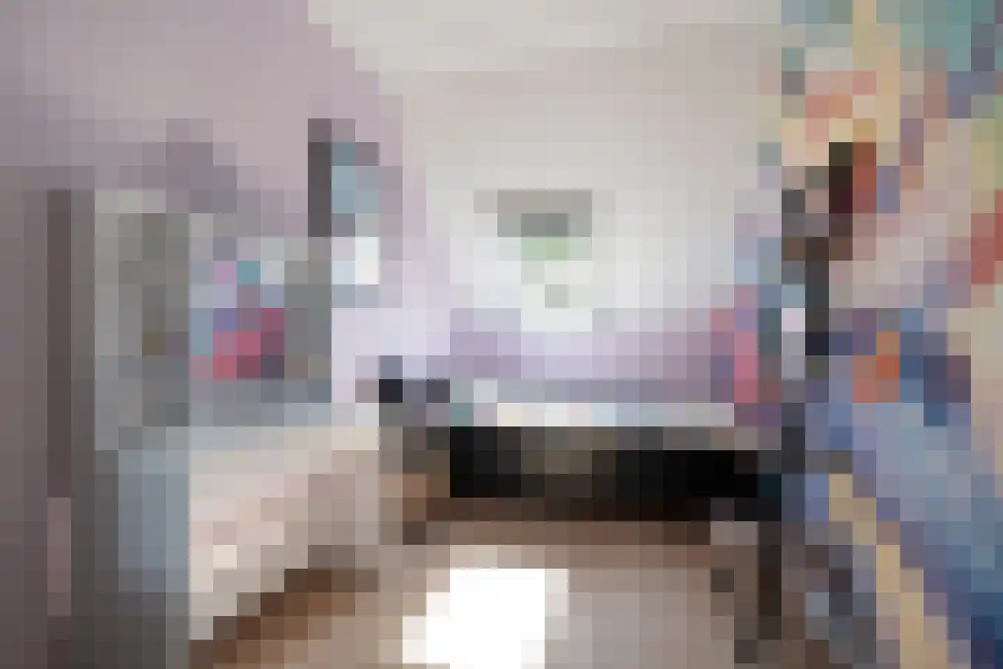 Dokter Veenislaan 11 Anna Paulowna thumbnail 26