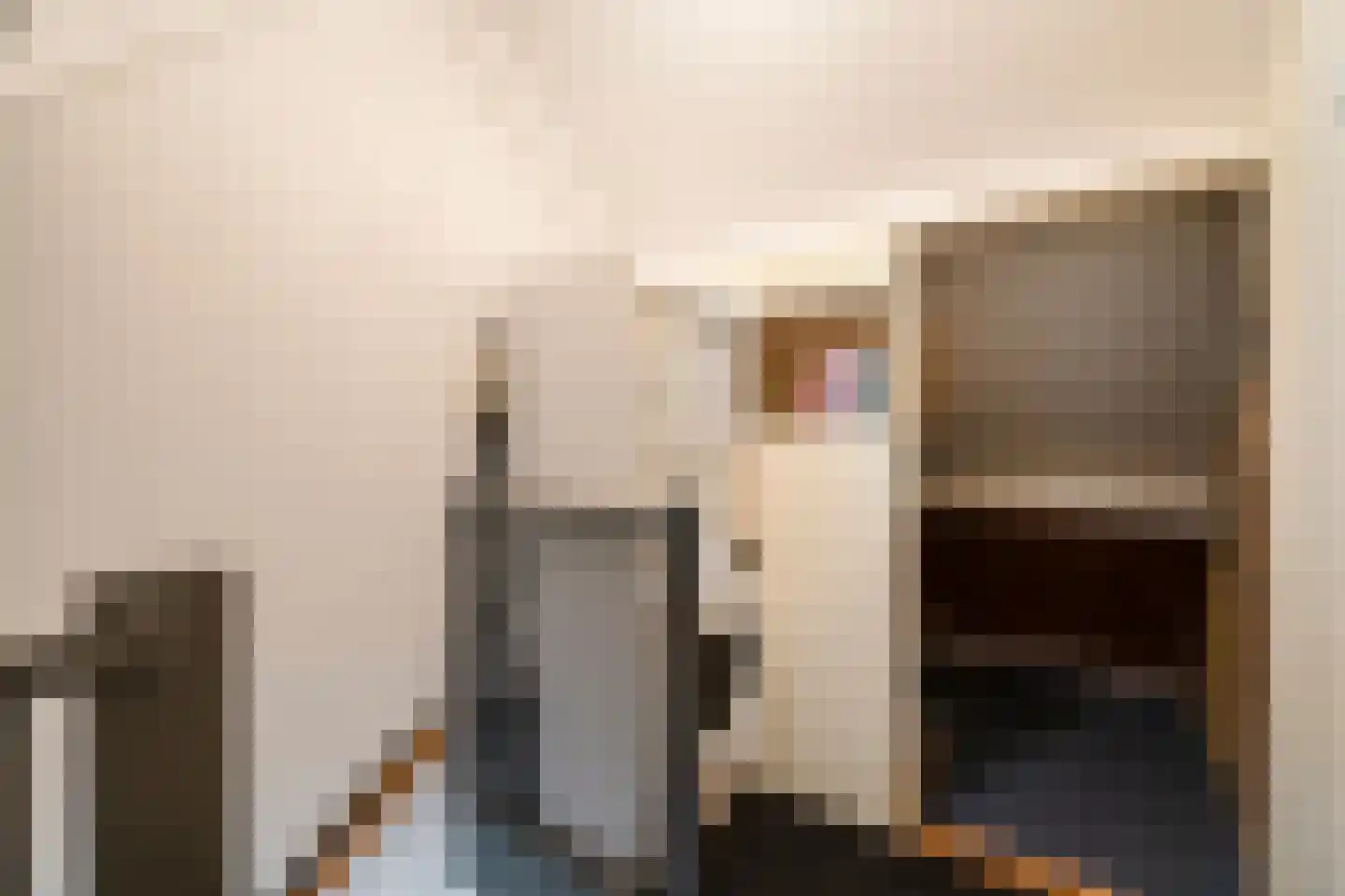 Dokter Veenislaan 11 Anna Paulowna thumbnail 28