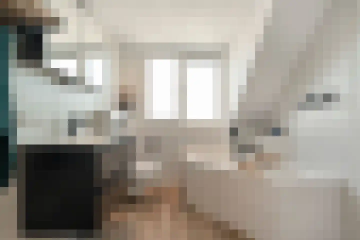 Dokter Veenislaan 11 Anna Paulowna foto 3