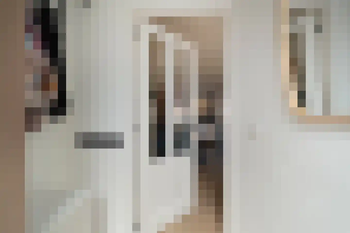 Dokter Veenislaan 11 Anna Paulowna thumbnail 9