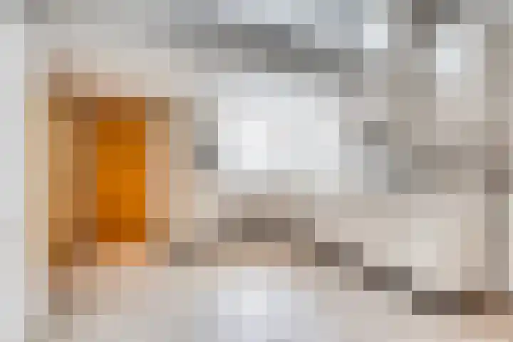 Dokter Verbeecklaan 19 Sint Anthonis thumbnail 10