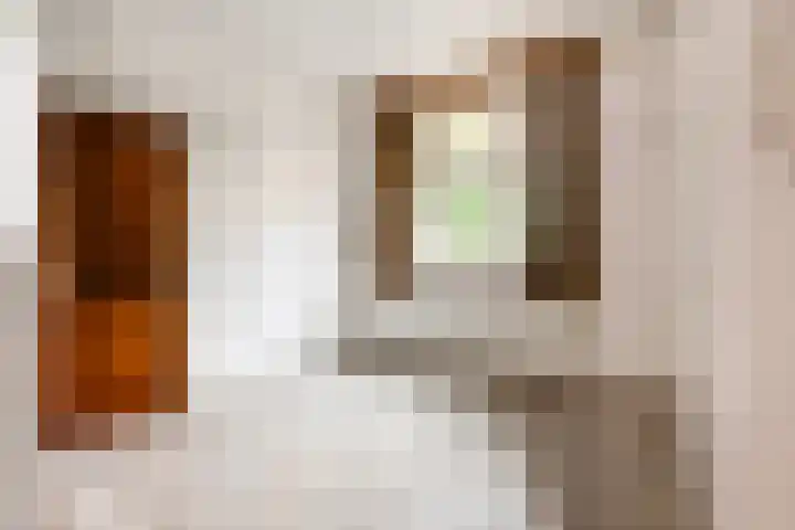 Dokter Verbeecklaan 19 Sint Anthonis thumbnail 11