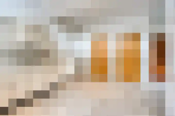 Dokter Verbeecklaan 19 Sint Anthonis thumbnail 12