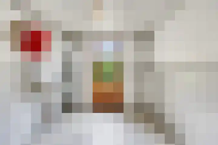 Dokter Verbeecklaan 19 Sint Anthonis thumbnail 13