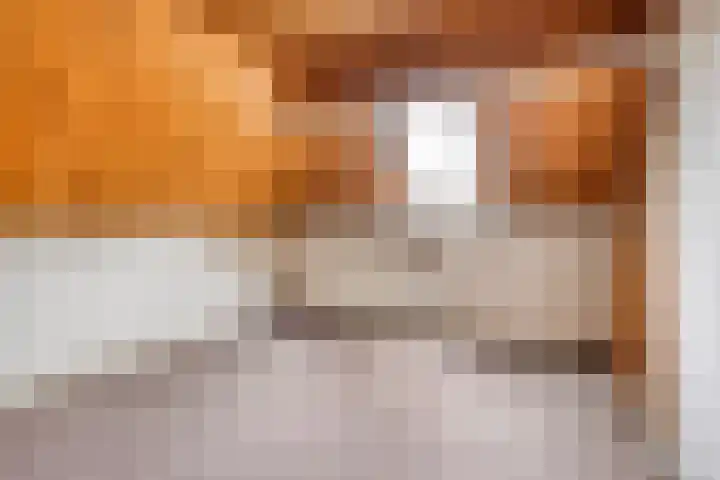 Dokter Verbeecklaan 19 Sint Anthonis thumbnail 26
