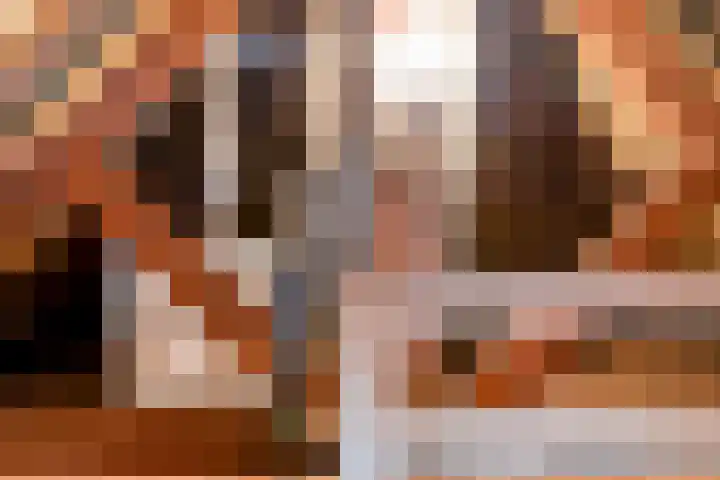 Dokter Verbeecklaan 19 Sint Anthonis thumbnail 27