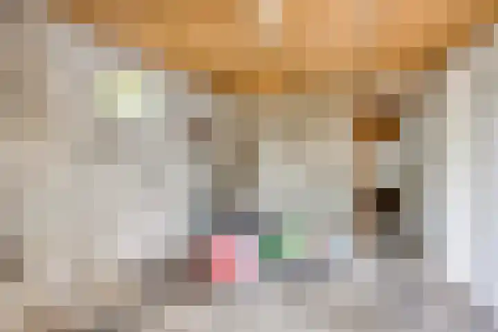 Dokter Verbeecklaan 19 Sint Anthonis thumbnail 28