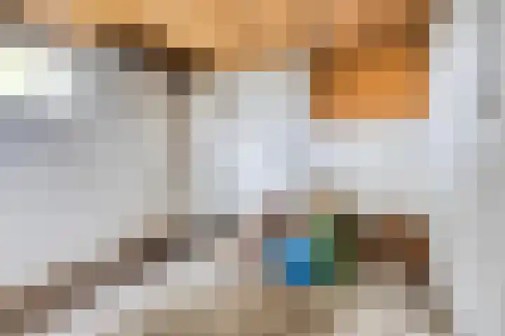 Dokter Verbeecklaan 19 Sint Anthonis thumbnail 29
