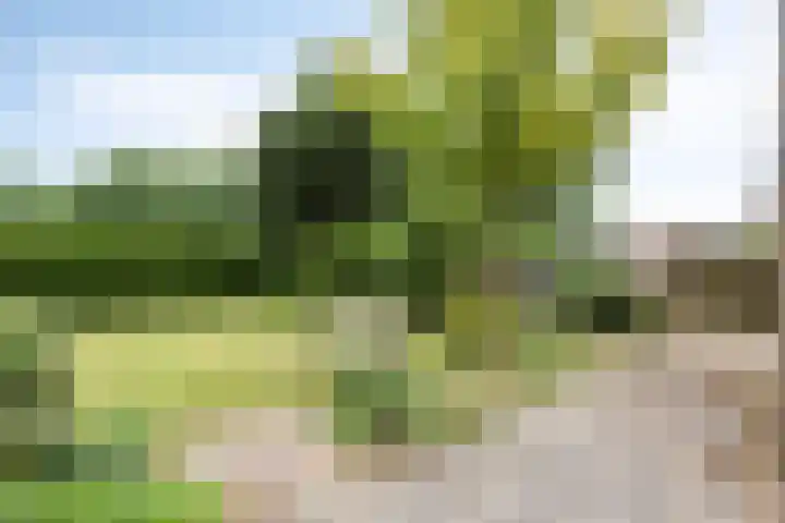 Dokter Verbeecklaan 19 Sint Anthonis thumbnail 30