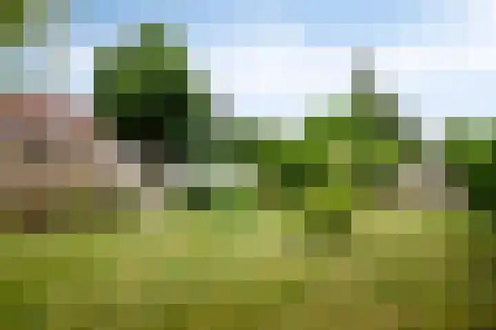 Dokter Verbeecklaan 19 Sint Anthonis thumbnail 32