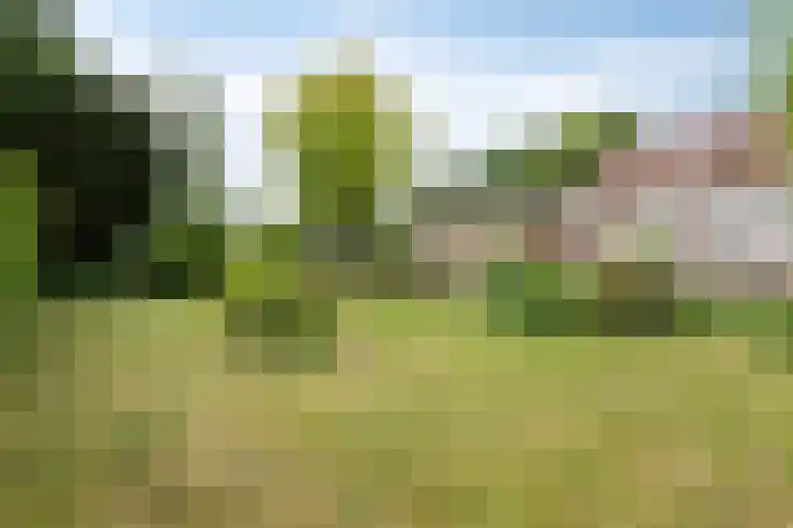 Dokter Verbeecklaan 19 Sint Anthonis thumbnail 33