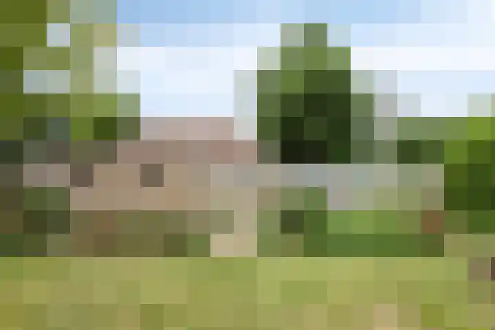 Dokter Verbeecklaan 19 Sint Anthonis thumbnail 34