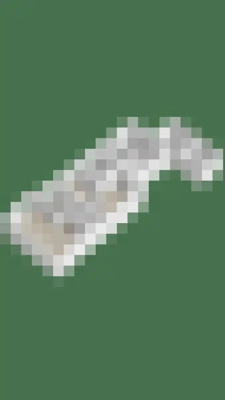 Dokter Verbeecklaan 19 Sint Anthonis thumbnail 40