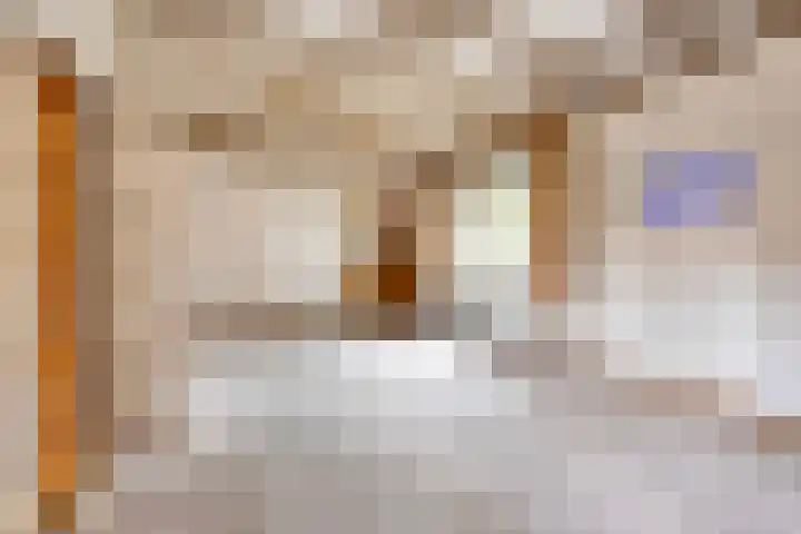 Dokter Verbeecklaan 19 Sint Anthonis thumbnail 5