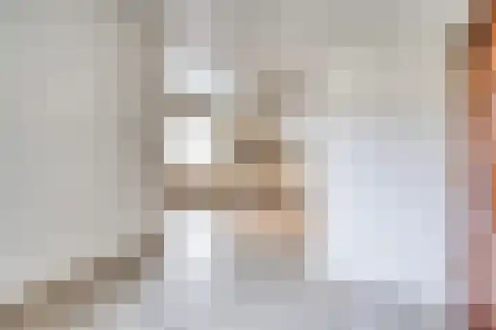 Dokter Verbeecklaan 19 Sint Anthonis thumbnail 9