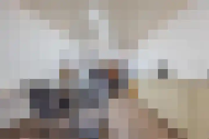 Dokter Verbeecklaan 2 Sint Anthonis thumbnail 16