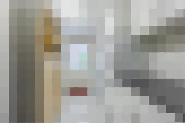 Dokter Verbeecklaan 2 Sint Anthonis thumbnail 20