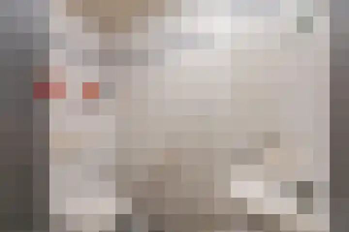 Dokter Verbeecklaan 2 Sint Anthonis thumbnail 23