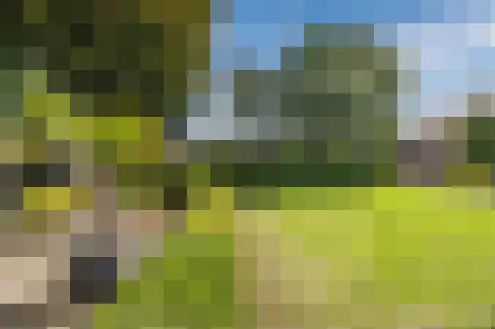 Dokter Verbeecklaan 2 Sint Anthonis thumbnail 6