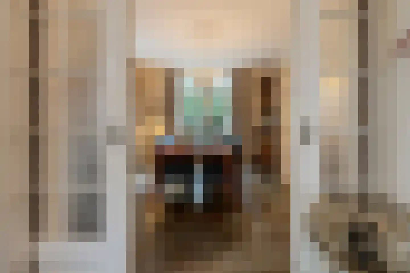Dokter Verbeecklaan 40 Sint Anthonis thumbnail 10