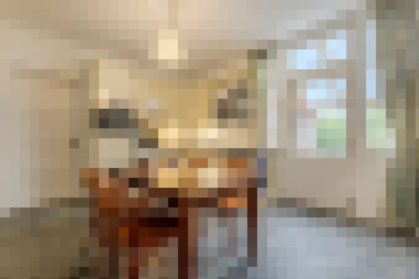 Dokter Verbeecklaan 40 Sint Anthonis thumbnail 13