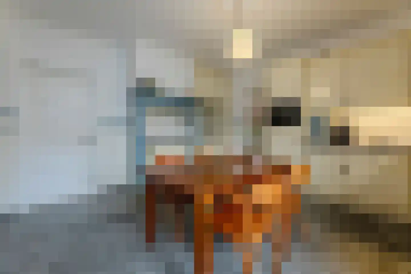 Dokter Verbeecklaan 40 Sint Anthonis thumbnail 15