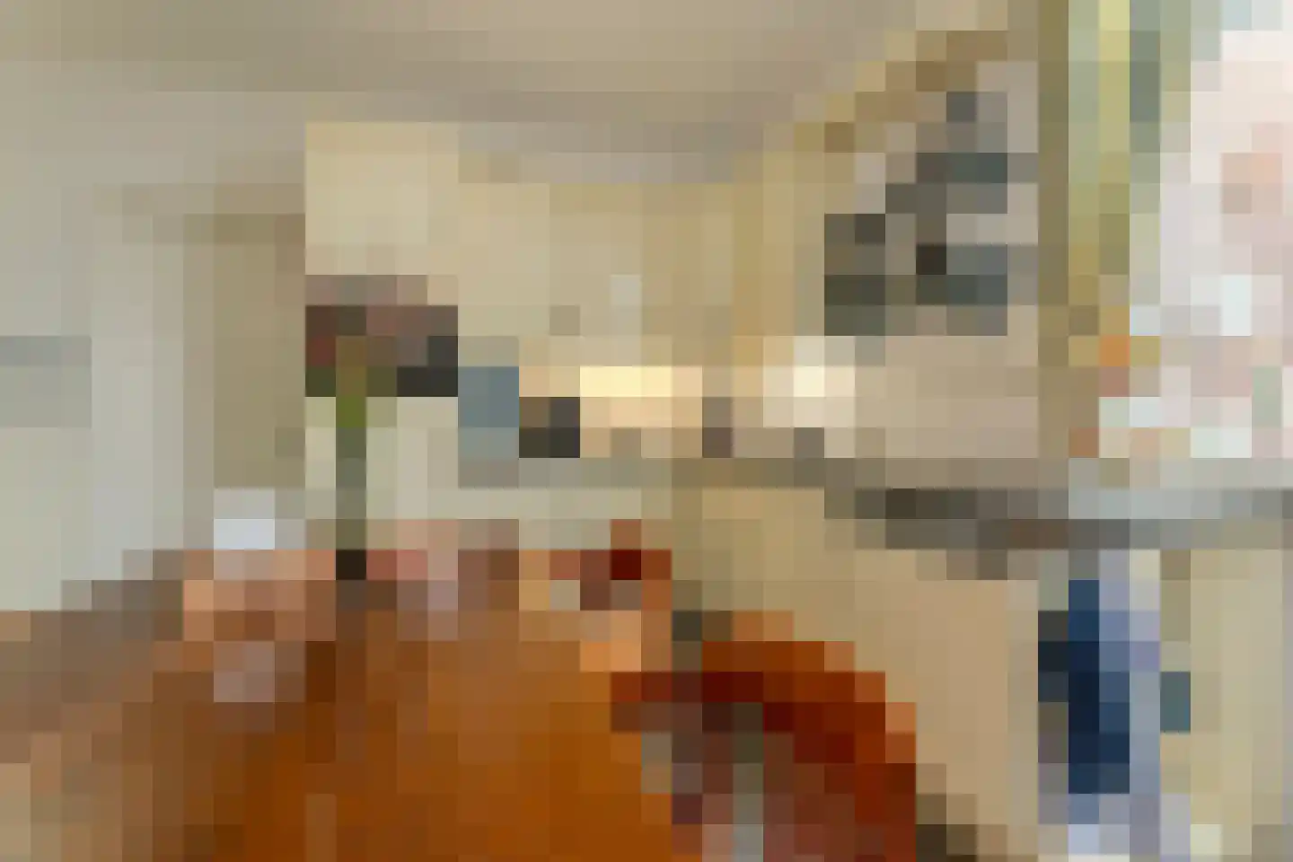Dokter Verbeecklaan 40 Sint Anthonis thumbnail 19