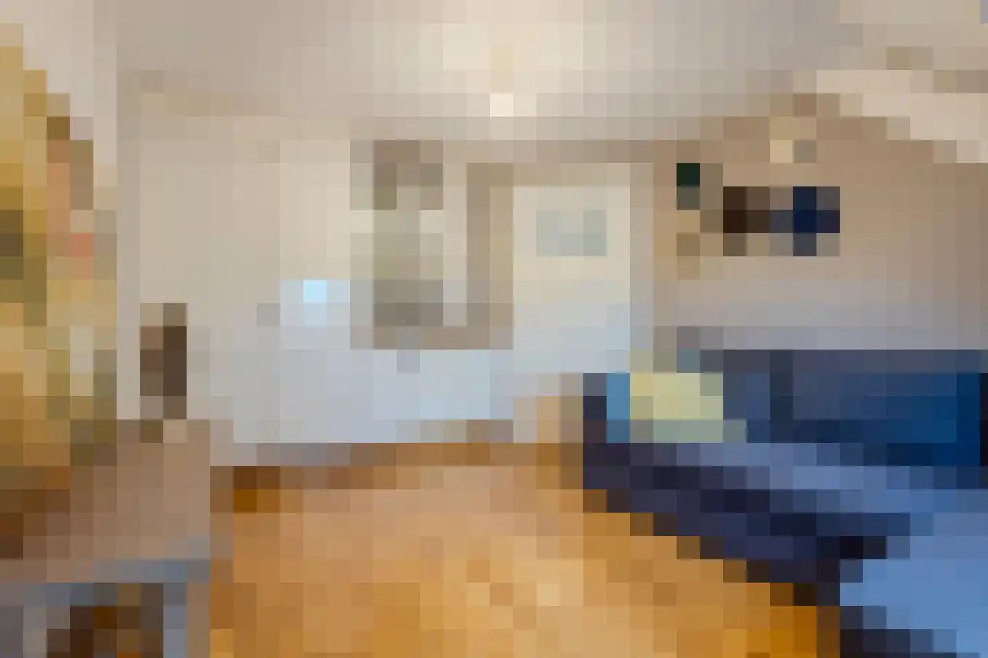 Dokter Verbeecklaan 40 Sint Anthonis thumbnail 24