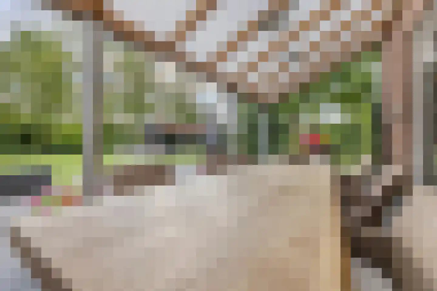 Dokter Verbeecklaan 40 Sint Anthonis thumbnail 36