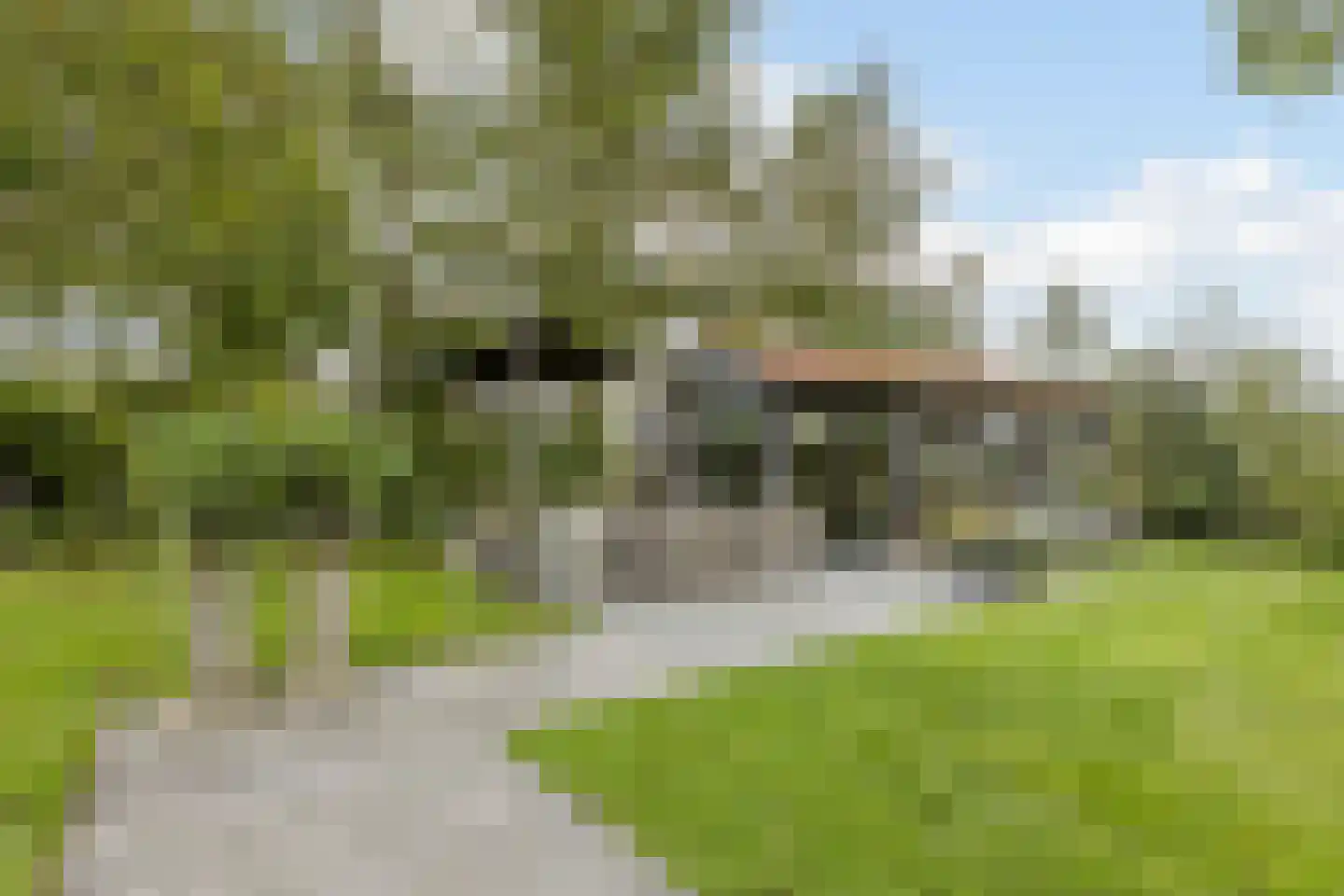 Dokter Verbeecklaan 40 Sint Anthonis thumbnail 37