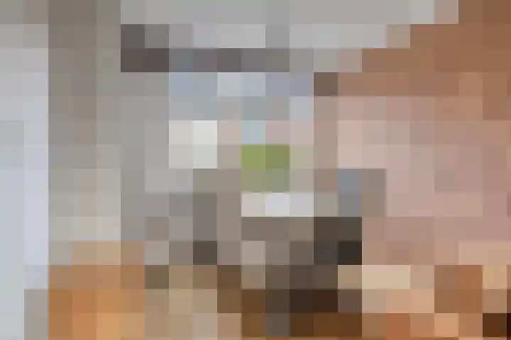 Dokter Vermetstraat 23 Nieuw-Vossemeer thumbnail 11