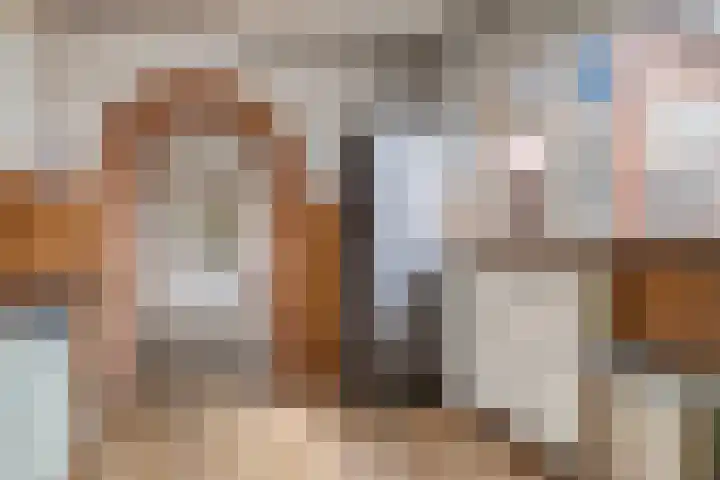 Dokter Vermetstraat 23 Nieuw-Vossemeer thumbnail 17