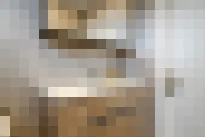 Dokter Vermetstraat 23 Nieuw-Vossemeer thumbnail 24