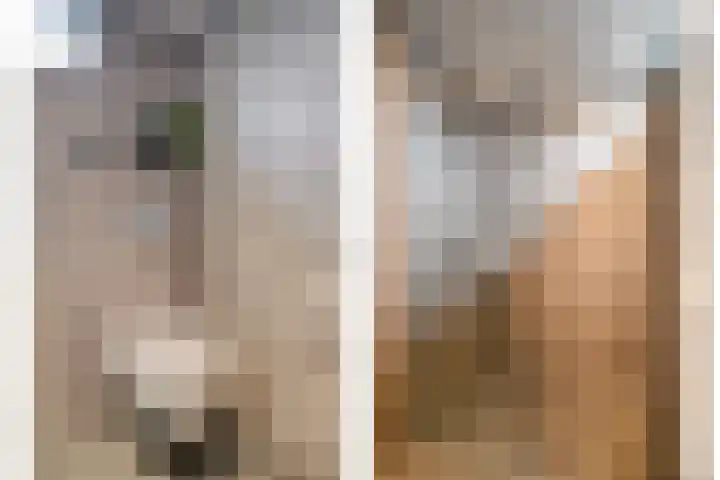 Dokter Vermetstraat 23 Nieuw-Vossemeer thumbnail 25