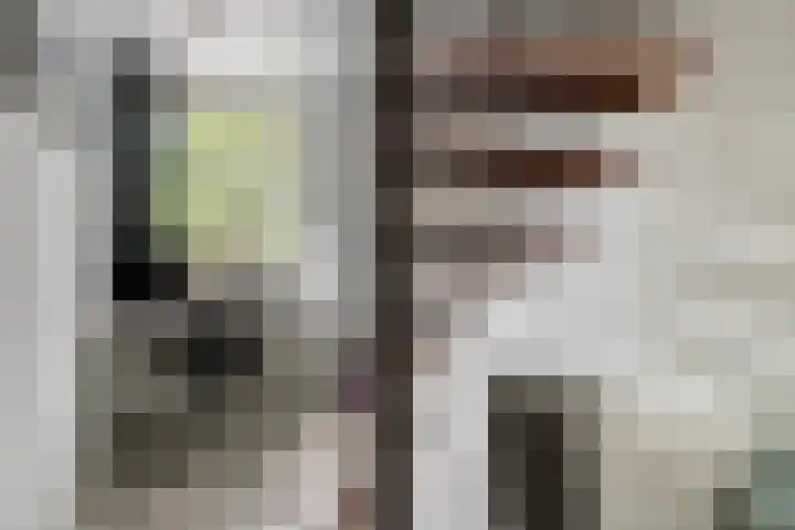 Dokter Vermetstraat 23 Nieuw-Vossemeer thumbnail 26